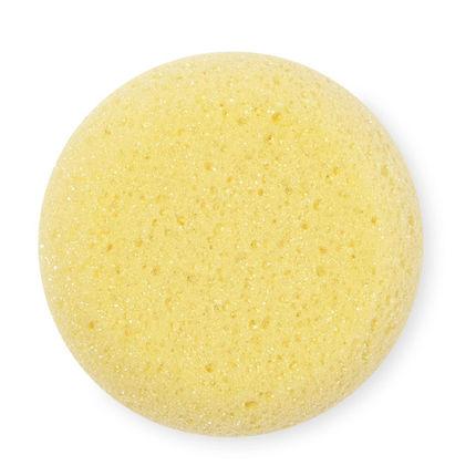 Small Foam Sponge