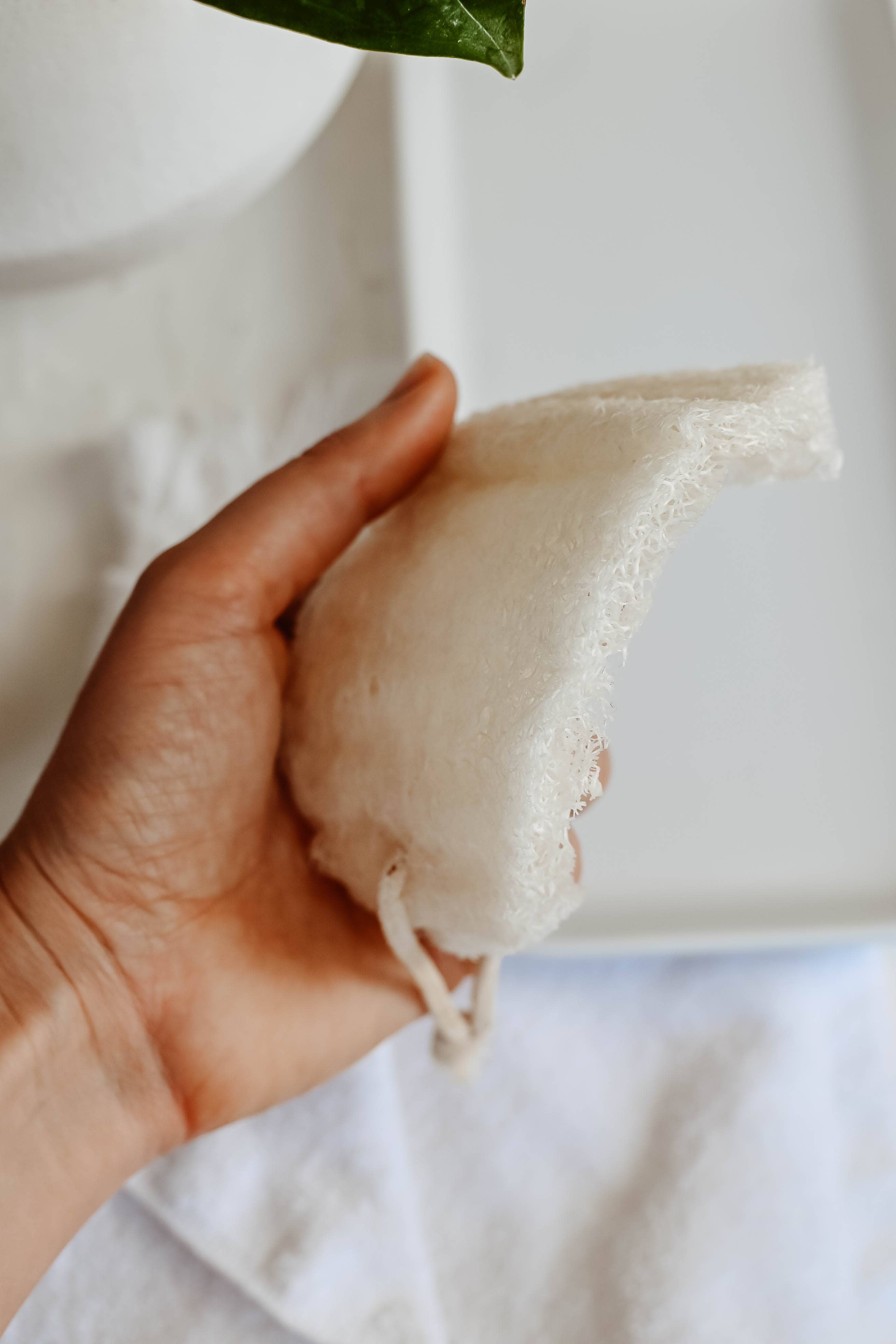 Zefiro - Loofah - single layer 2 pack