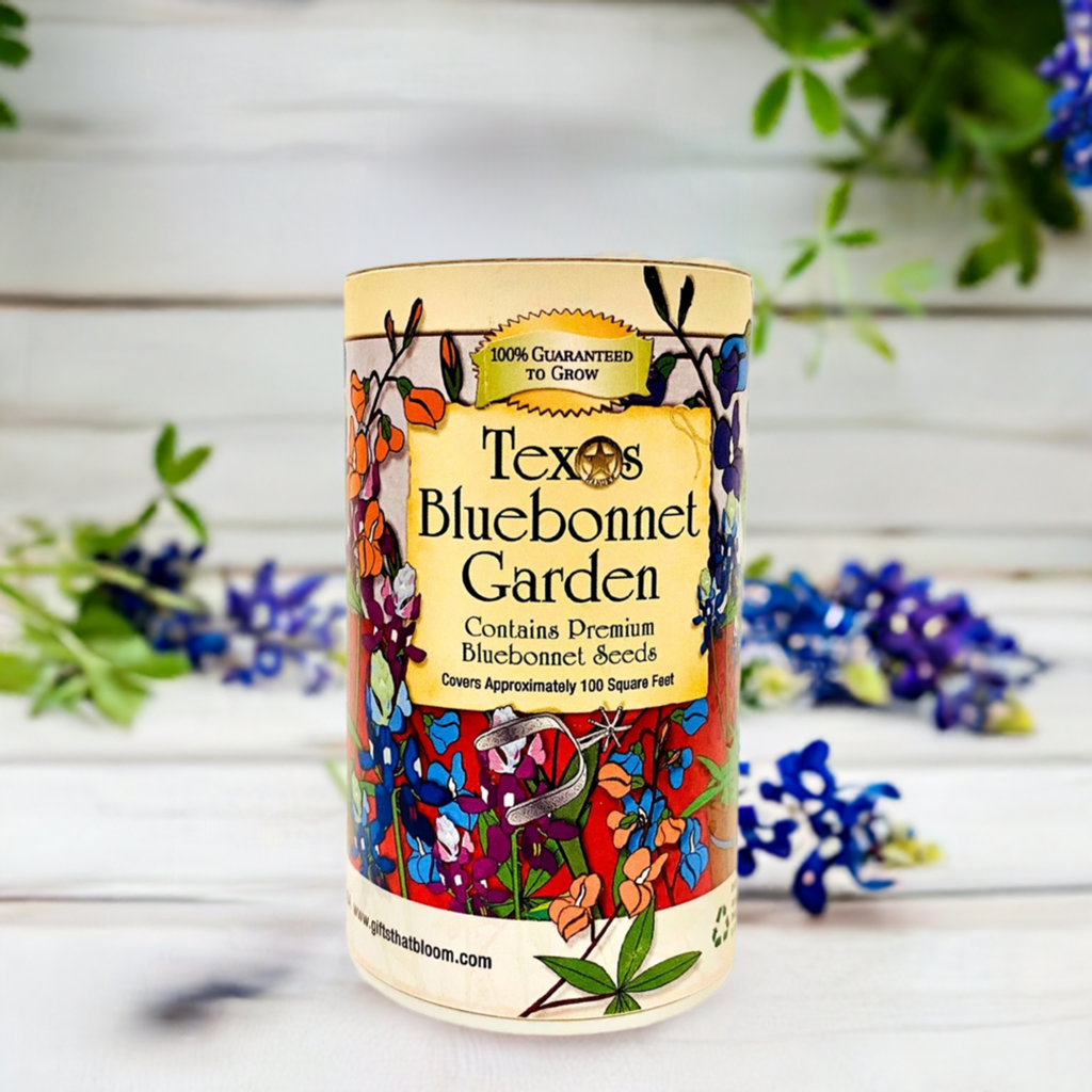 Gifts That Bloom - Texas  Bluebonnet Shaker Garden