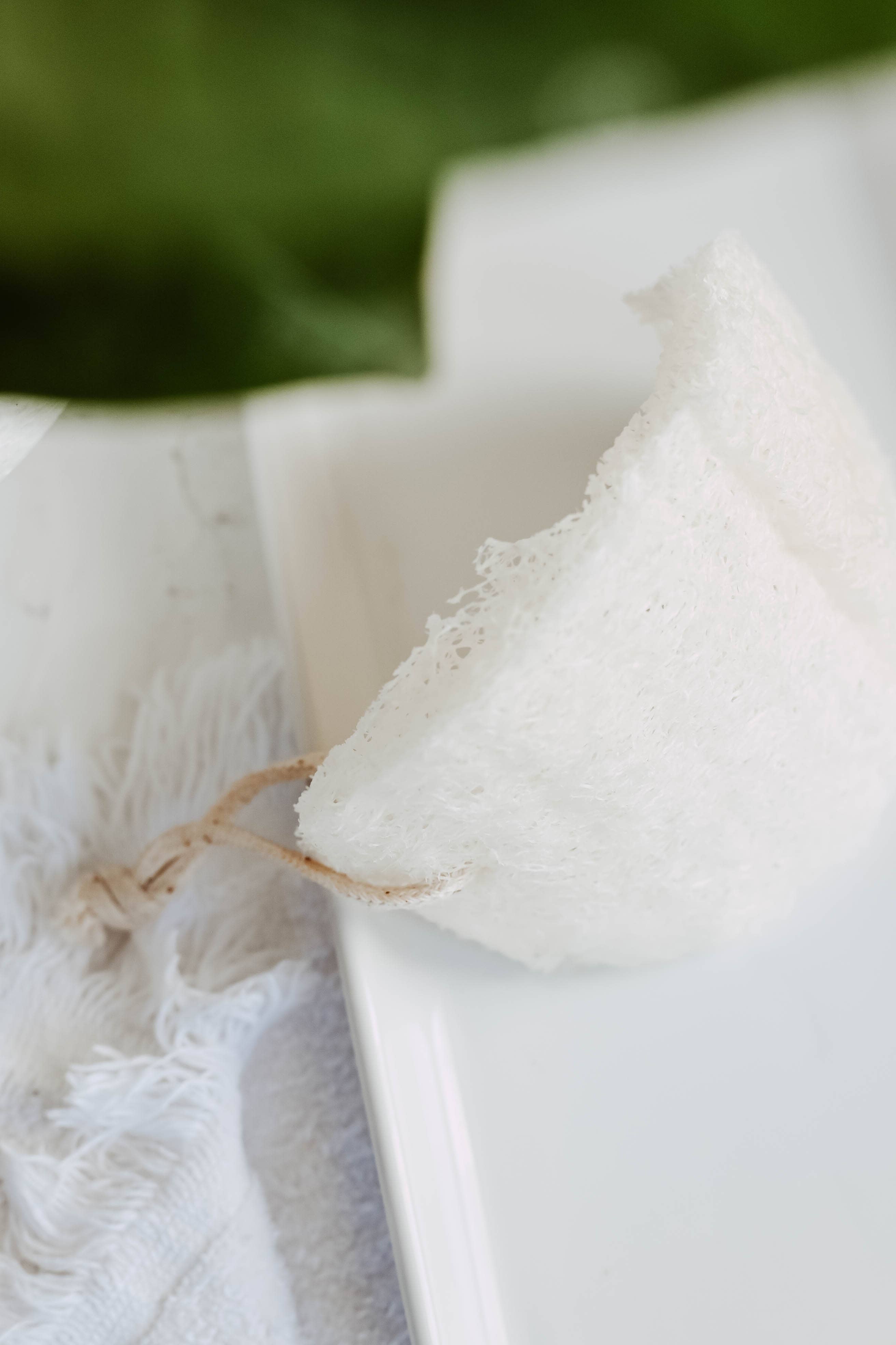 Zefiro - Loofah - single layer 2 pack