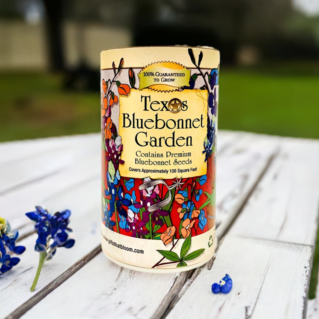 Gifts That Bloom - Texas  Bluebonnet Shaker Garden