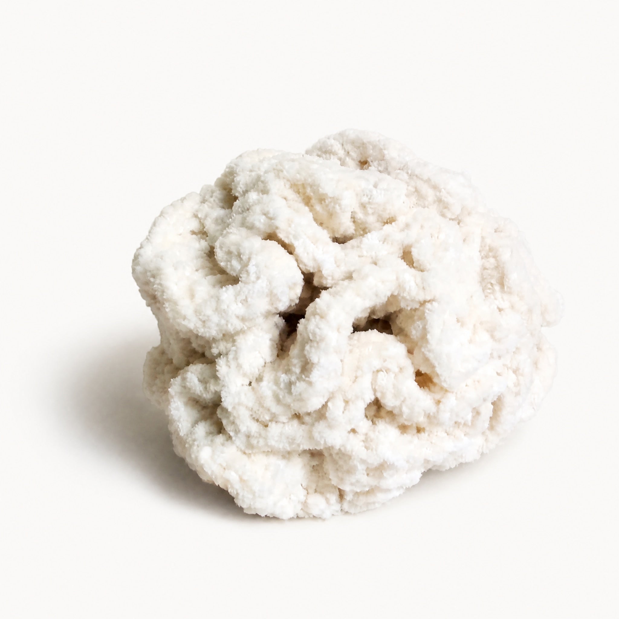 Cotton Pouf by WRSG Accessories available from White Rock Soap Gallery in Dallas
