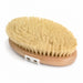 Dry Brush by Zefiro available from White Rock Soap Gallery in Dallas