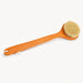 Plant Bristled Back Brush by WRSG Accessories available from White Rock Soap Gallery in Dallas