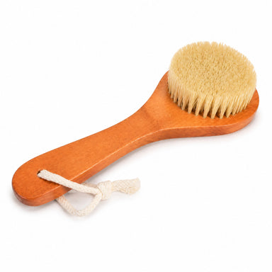 Plant Bristled Body Brush by WRSG Accessories available from White Rock Soap Gallery in Dallas
