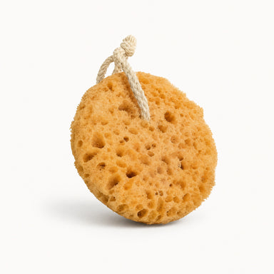 Small Foam Sponge by WRSG Accessories available from White Rock Soap Gallery in Dallas