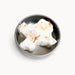 SuVa - Mini Texas Lotion Bars: Bergamot / Citrus Vanilla by SuVa available from White Rock Soap Gallery in Dallas