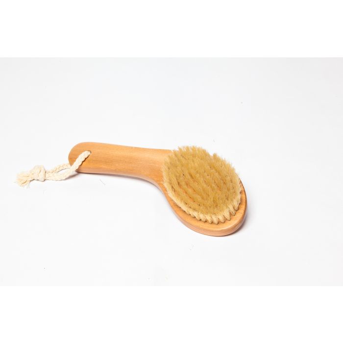 Small Curved Body Brush