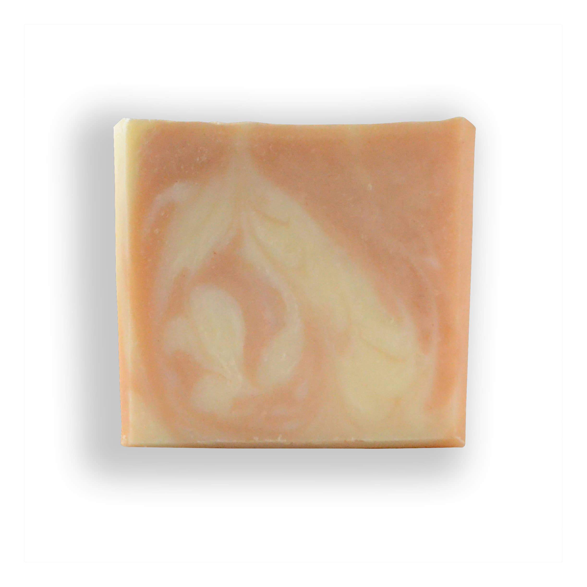 Orange Aloe Bar Soap
