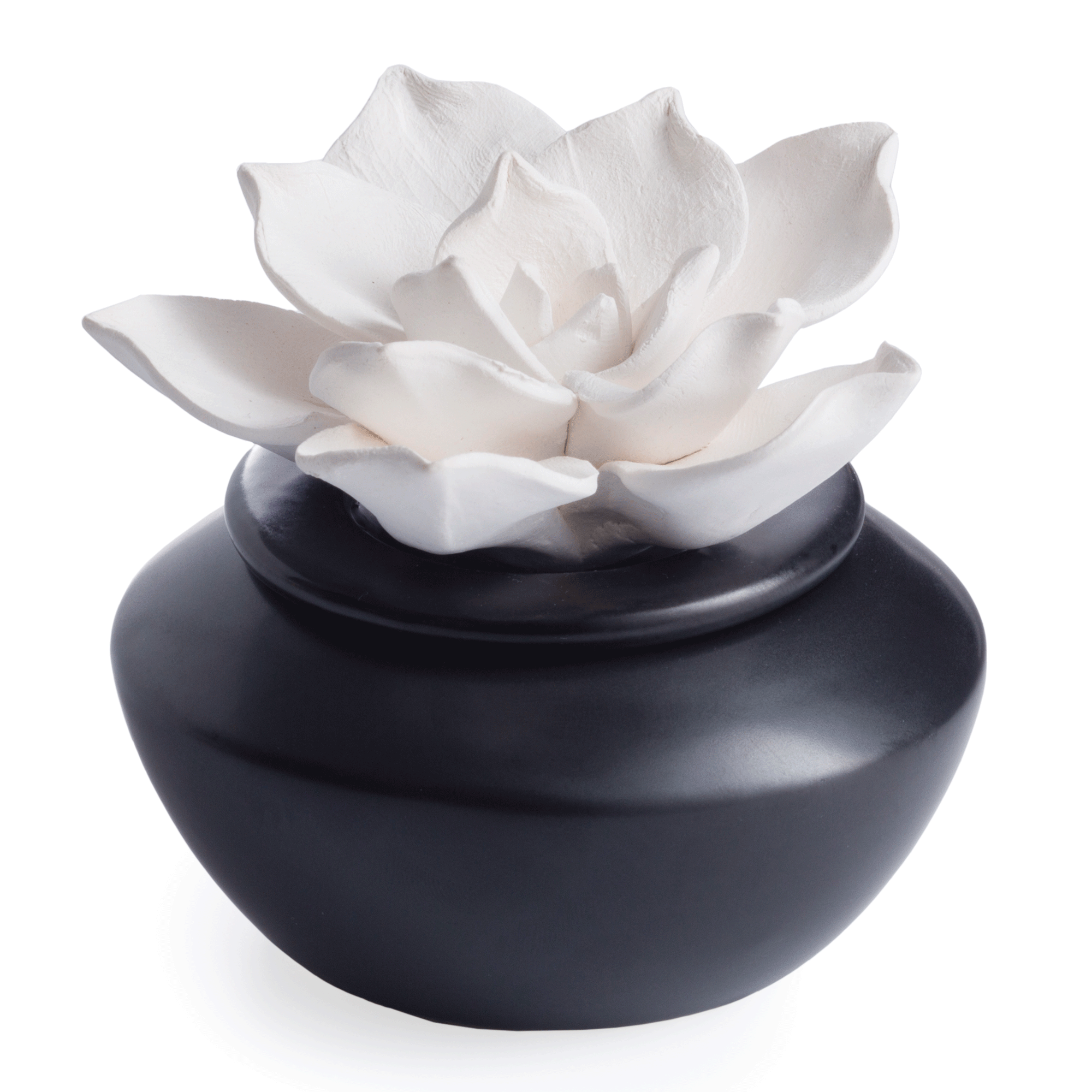 Difusor Porcelana Gardenia
