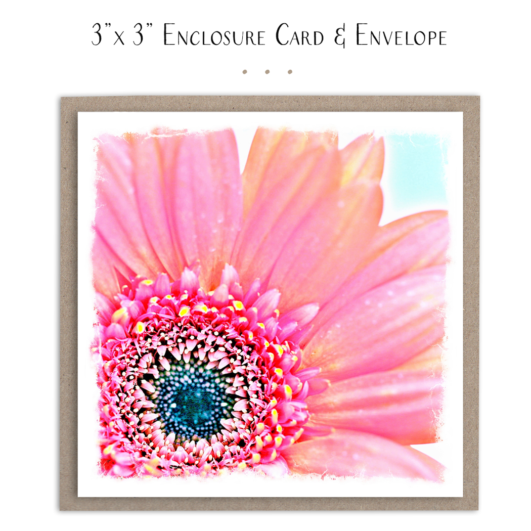 Susan Case Designs - Mini tarjeta de margarita rosa brillante